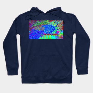 Climb Hoodie